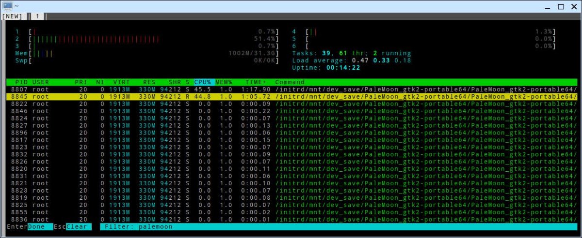 htop-palemoon-31-1.jpg