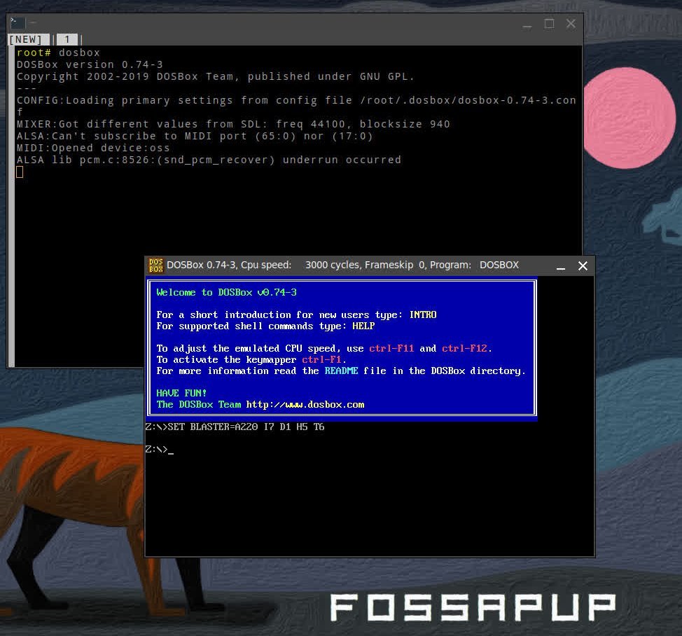 dosbox-run.jpg