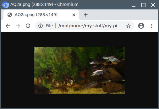Chromium Opens Files.png
