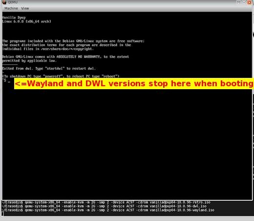 DWL Wayland versions STOP here. Cannot start a desktop from here.