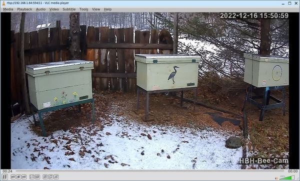 My Beecam on VLC