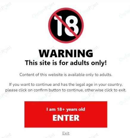 Screenshot 2023-04-08 at 10-12-04 web site 18 years old warning - Google Search.jpg