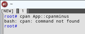 cpan1.png