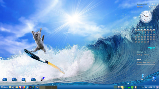 SurfingCat2.png