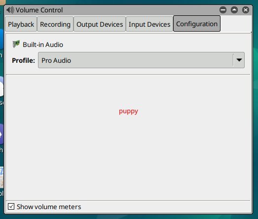 audio_config_pup.jpeg