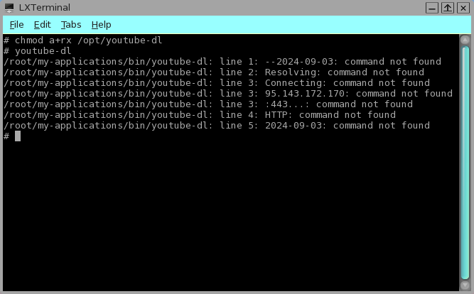 youtube-dl_run2.png