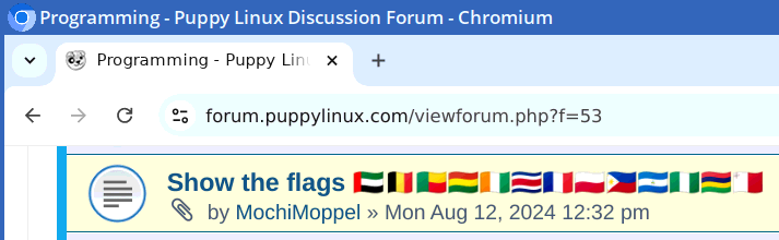 Flathub-Chromium-v.128.png