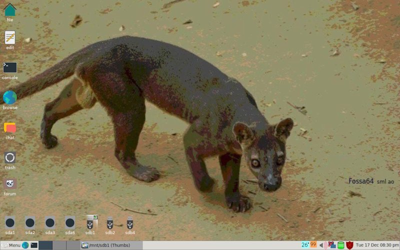 THE_Fossa64-sml.jpg