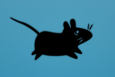 blackmouse.png