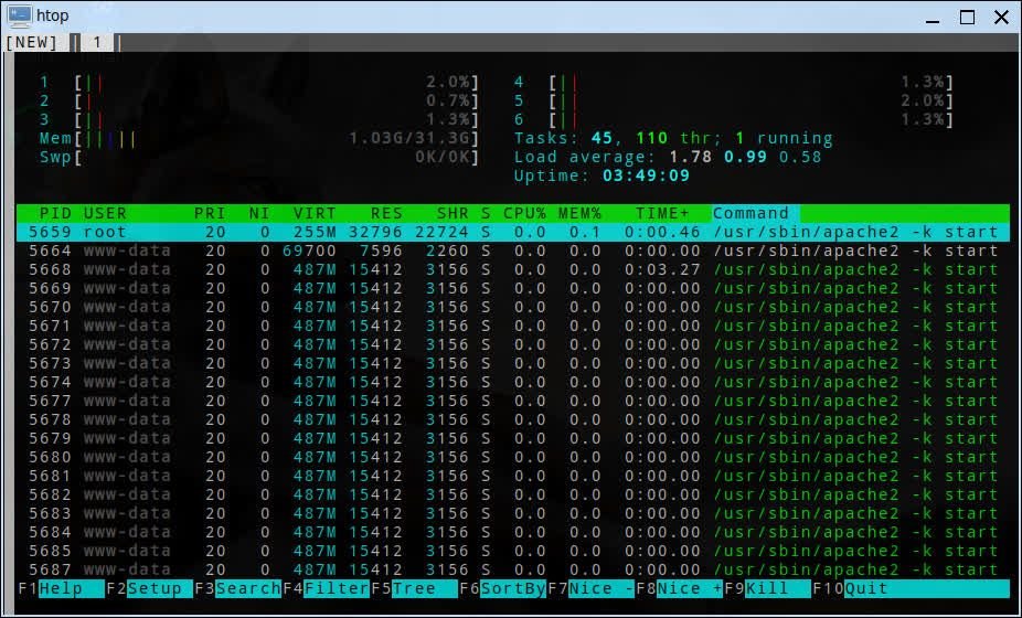 htop-2.jpg