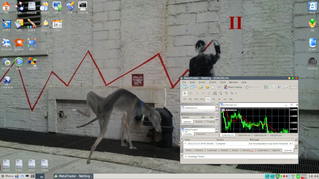 Metatrader-Puli.png