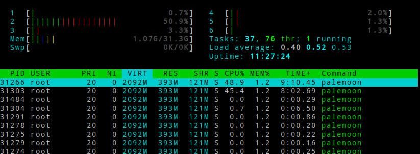 palemoon-30-0-0-usage2.jpg