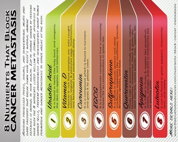 Small 8-nutrition-Block-Cancer-Metastasis.jpg