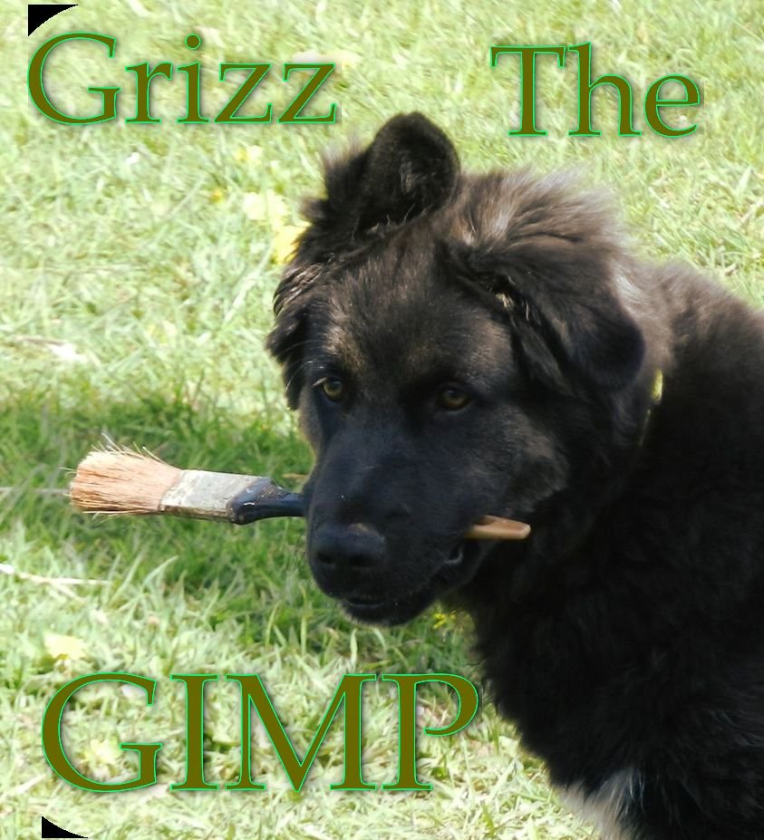 Grizz-the-Gimp.jpg